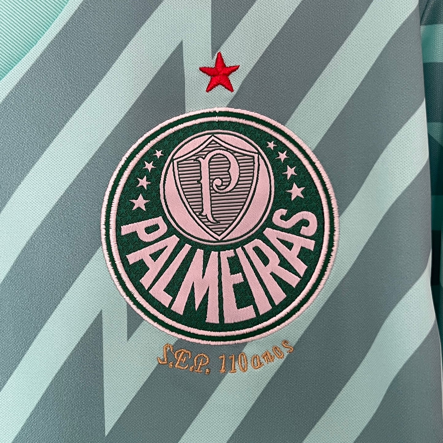 Palmeiras Goalkeeper 24/25