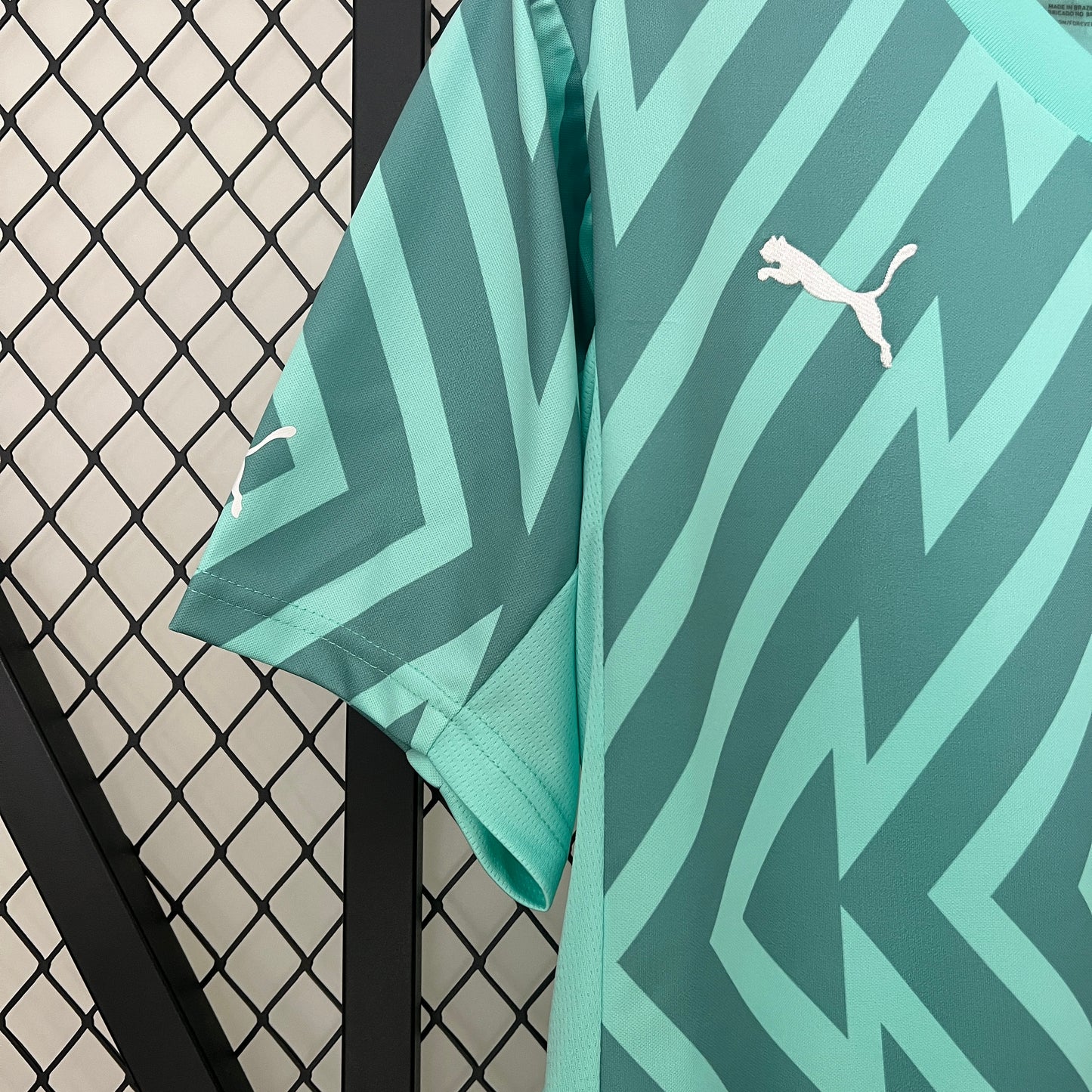 Palmeiras Goalkeeper 24/25