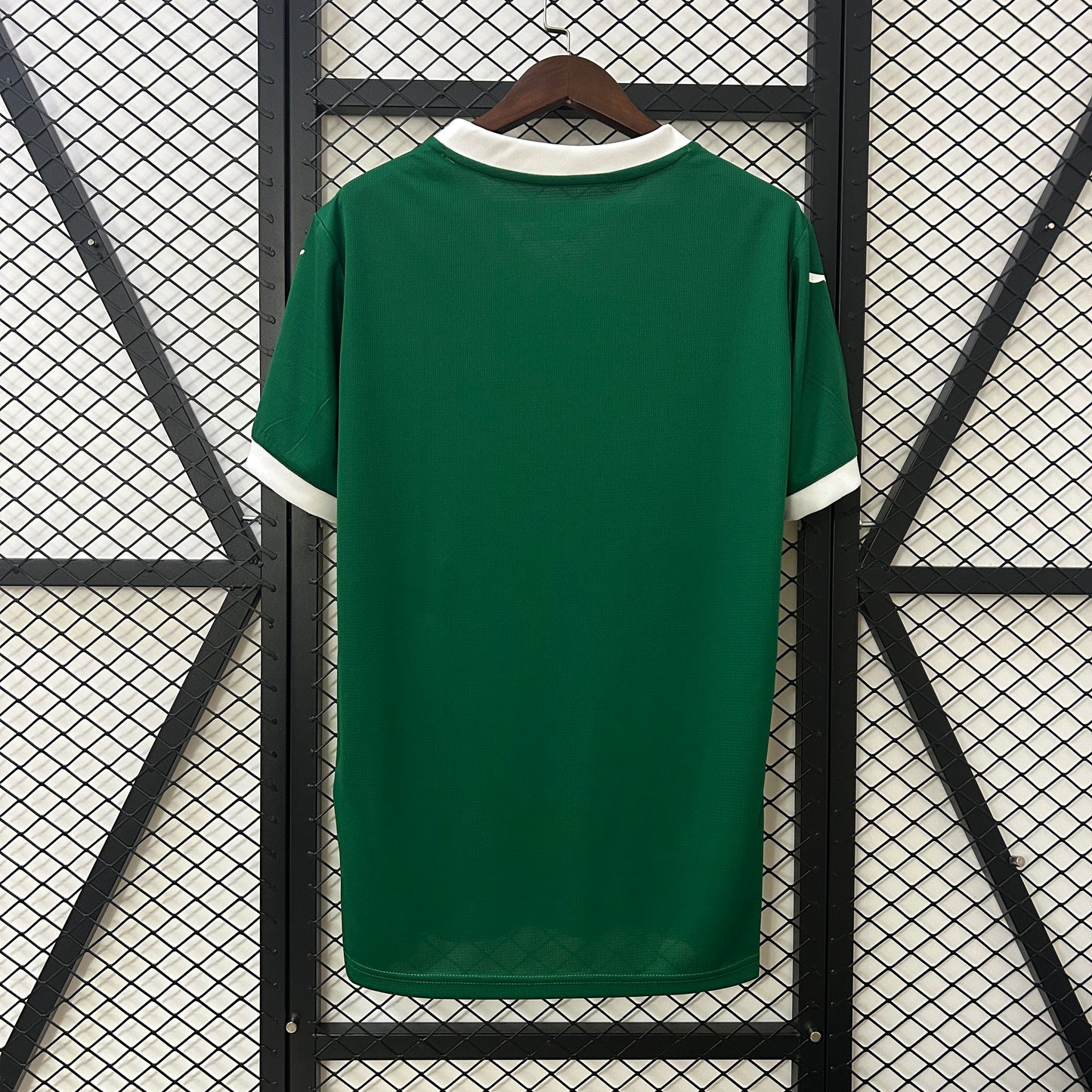 Palmeiras home 25/26 - Fan version