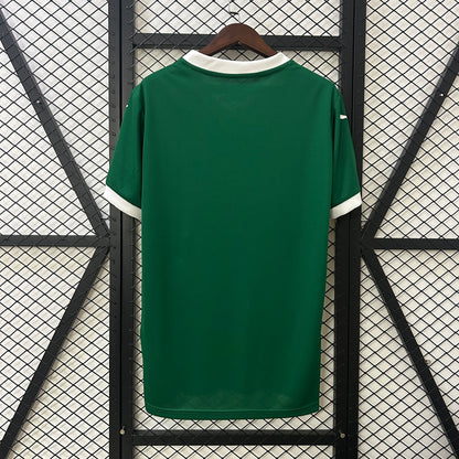 Palmeiras home 25/26 - Fan version